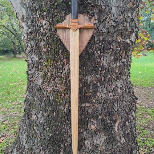 Sword of the Captain's Brother